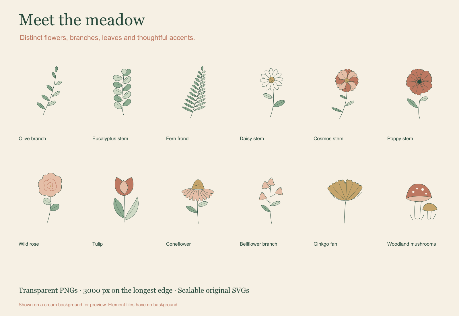 A closer look at selected original botanical elements.